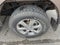 2019 Ford F-150 XLT 4WD SuperCrew 5.5' Box